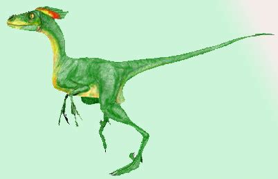 Chicago dance rock art sensation. Bambiraptor Dinosaur, Facts | Information - Bambiraptor feinbergi