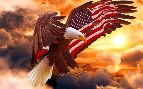 Bald Eagle Wallpaper American Flag Bald Eagle 113443 Hd