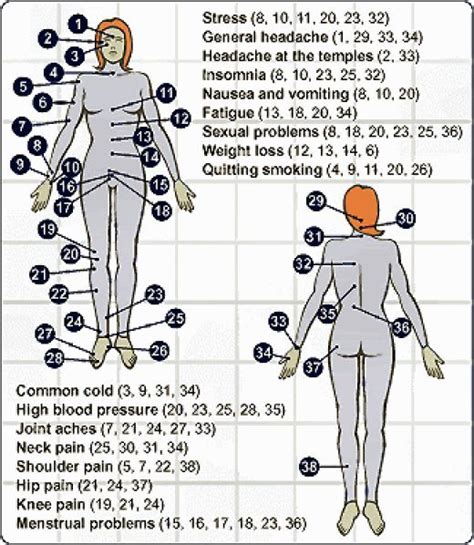 Natural Libido Enhancement Using Acupressure Acupressure Therapy