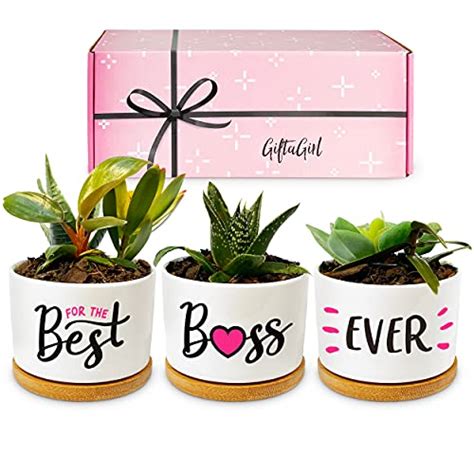 Best Gifts For Boss Female July