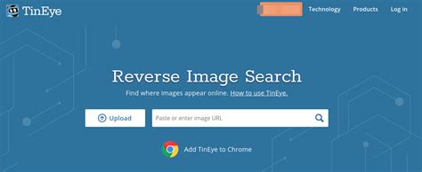 6 Best Reverse Image Search Tools To Find The Original Source Geekflare