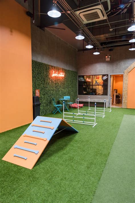 This Indoor Dog Park Is The Perfect Date For You And Your Dog Nolisoli