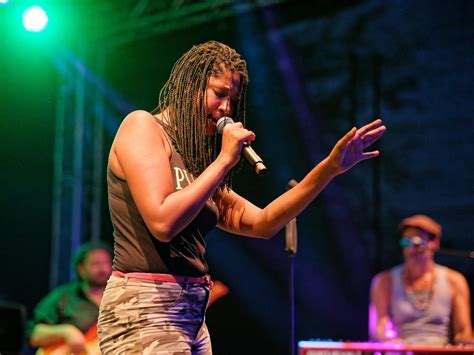 festival 2019 turnpike reggae festival