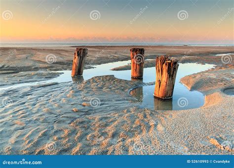 Wooden Pilings At Low Tide Folly Beach Washout Stock Photo Image