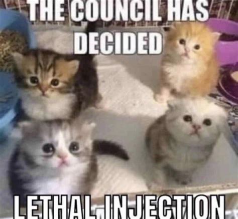 The Council Has Decided Lethal Injection Memes Imgflip