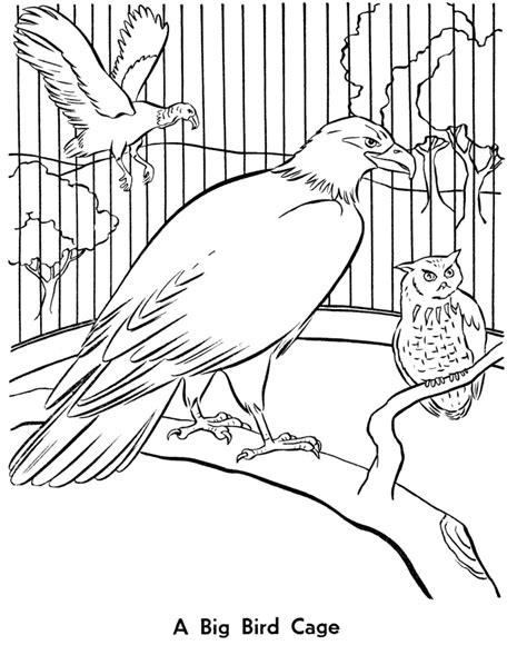 620x875 clean out the gerbil's cage. Zoo Birds Coloring Pages | Zoo Aviary bird cage Coloring ...