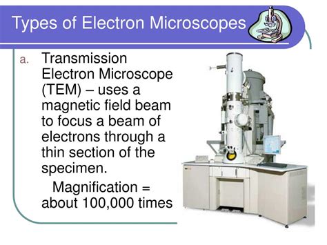 Electron Microscope Facts Micropedia