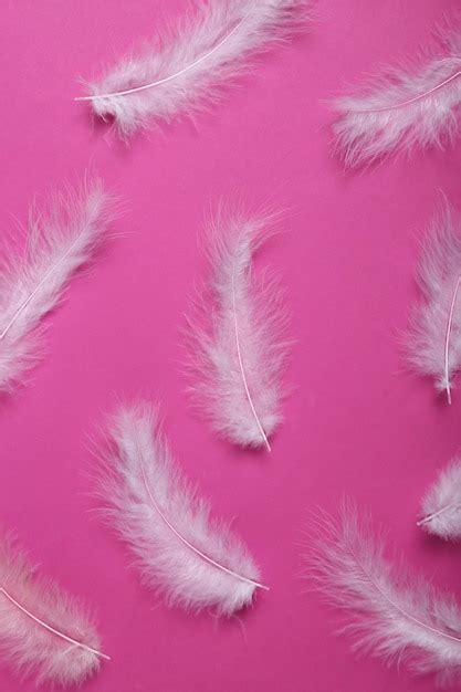 Premium Photo Soft Feathers On Pink Background Minimalism Top View