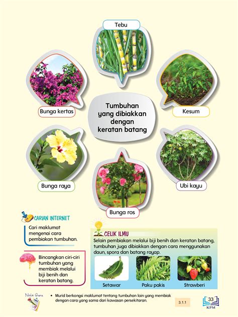 pokok yang tumbuh melalui daun - AidyntaroHart