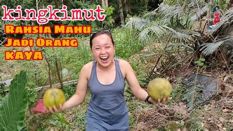 Tapi kalau mau kaya raya, hanya dengan jalan bisnis dengan kemampuan menjual yang. Kingkimut Bongkar Rahsia Bagaimana Cara Jadi Kaya😜 - YouTube