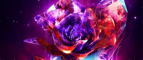 2560x1080 Rose Abstract 4k 2560x1080 Resolution Hd 4k Wallpapers Images Backgrounds Photos