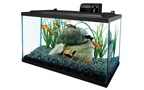 The Best 10 Gallon Fish Tank On The Market Aqua Tank World