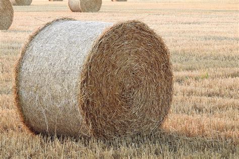 Straw Bales Stubble Summer · Free Photo On Pixabay