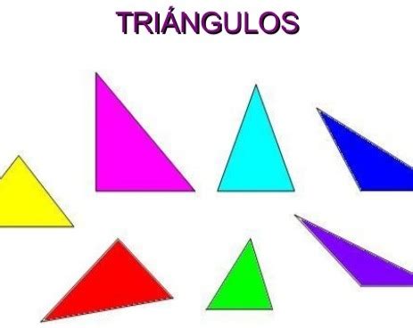 Pr S Moelle Fragment Cuantos Tipos De Triangulos Existen Glucides Four Exercer