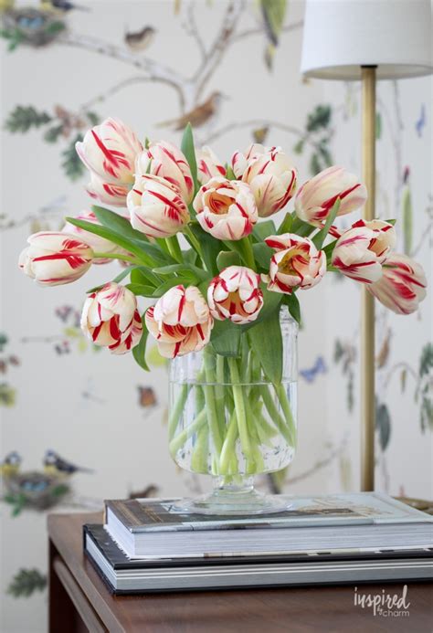 Arranging Tulips Tips And Tricks For Beautiful Arrangements