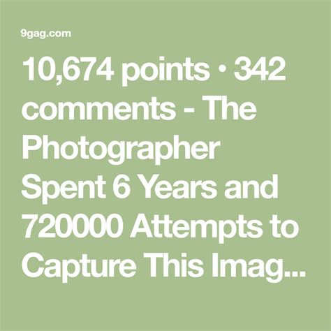 10674 Points 342 Comments The Photographer Spent 6 Years And