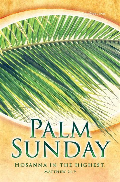 101 Palm Sunday Background Image Interesting Palm Sunday Background