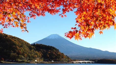 Wallpaper Japan Mount Fuji Autumn Red Leaves 1920x1200