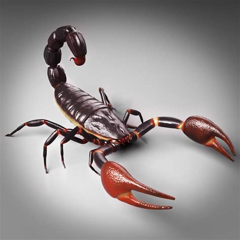 Scorpion Rigged Animated Maya 3d Model Animated Rigged Obj