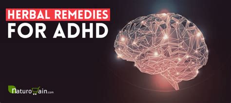 9 Powerful Herbal Remedies For Adhd Treat Adhd Naturally