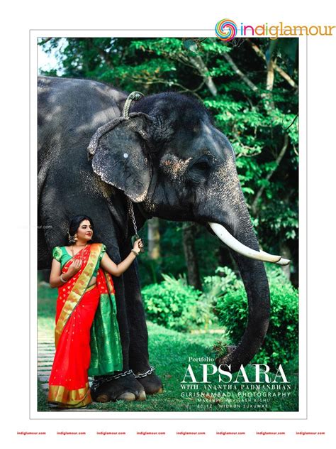 Apsara Actress Photoimagepics And Stills 484705