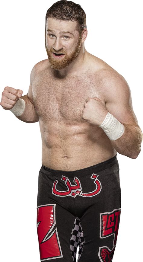 Discover information about sami zayn and view their match history at the internet wrestling database. Sami Zayn PNG by AmbriegnsAsylum16 on DeviantArt