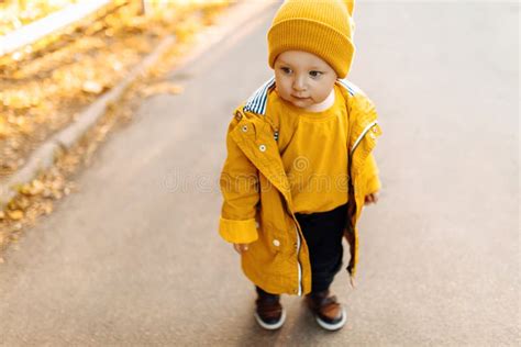 Happy Little Child Walking In Autumn Park With Autumn Yellow Leaves