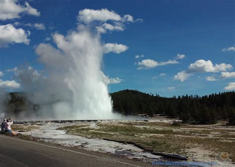 51 Cent Adventures Great Fountain Geyser Yellowstone National Park