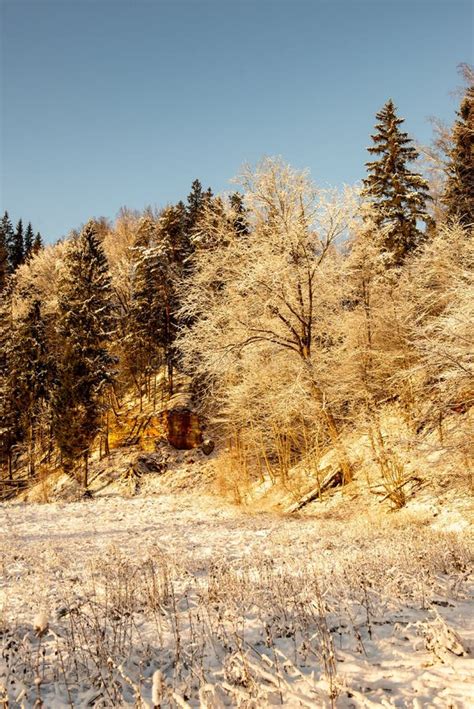 Frozen Winter Landscape With Forests And Fields Covered In Snow Stock