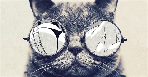Galaxy Note Hd Wallpapers Cool Cat Glasses Galaxy Note Hd Wallpaper