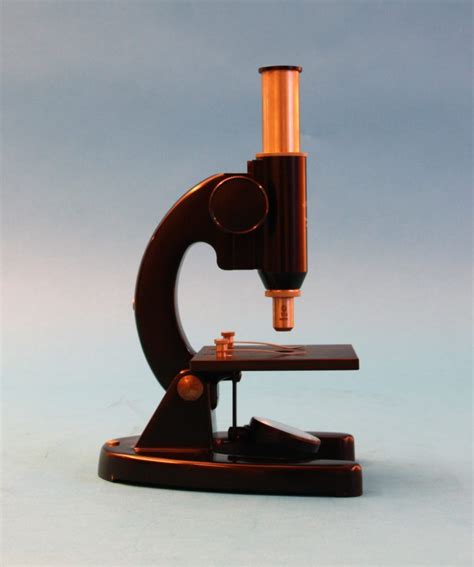 Compound Achromatic Microscope Stand K Stichting Voor Historische