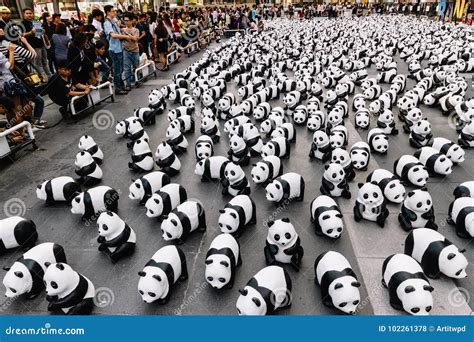 Many Panda Sculptures Place On The Floor Is An Art Exhibition With