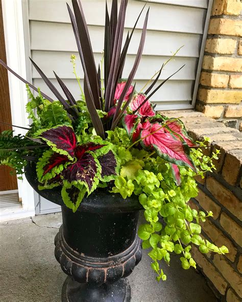 Review Of Container Garden Ideas For Shade 2023