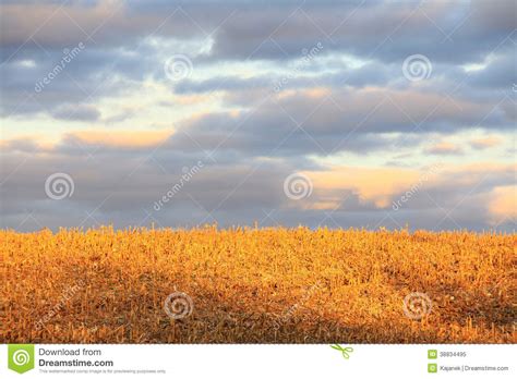 The Colorful Autumn Landscape Stock Image Image Of Yellow Forest