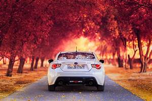 Wallpaper, Rear, View, Sports, Car, Subaru, Autumn