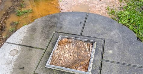 What To Do If Your Septic Tank Overflows Muck Munchers