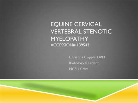 Ppt Equine Cervical Vertebral Stenotic Myelopathy Accession 139543
