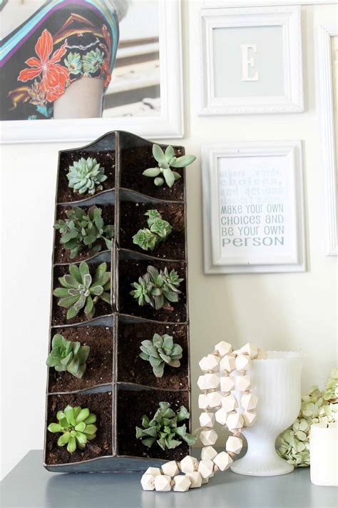 How does your succulent garden grow? Indoor Succulent Garden in Minutes - The Country Chic Cottage