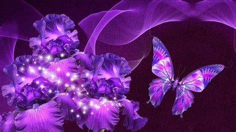 Purple Butterfly Wallpapers Top Free Purple Butterfly Backgrounds