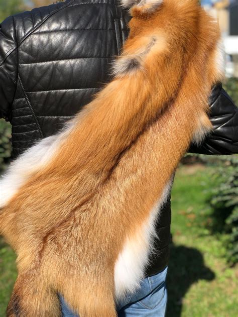 North American Red Fox Hide Ethically Sourced Fox Leather Etsy