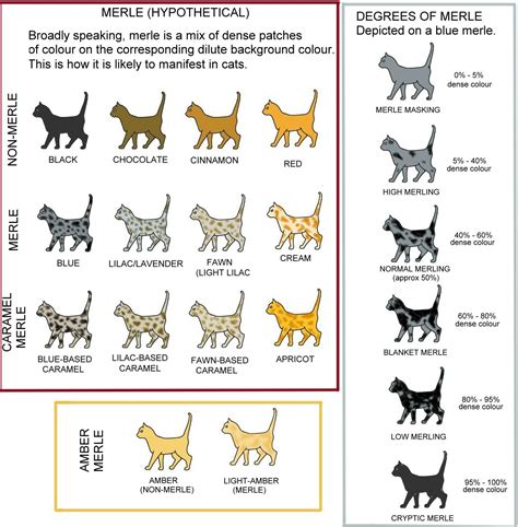 When urinary catheterization is performed, a small tube is inserted into the urethra (the hole that the urine comes out of) and advanced until it reaches the bladder. COLOUR AND PATTERN CHARTS | Animais selvagens, Gatos, Animais