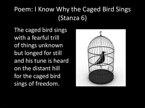 Poem I Know Why The Caged Bird Sings