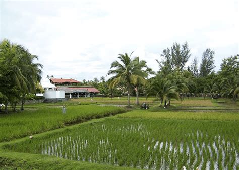 Destinasi percutian di malaysia yang tidak asing lagi, iaitu pulau langkawi menawarkan pelbagai aktiviti menarik untuk pelancong lakukan. 10 Tempat Menarik di Langkawi - Mesti Pergi