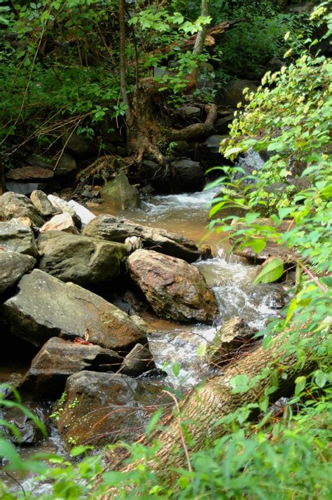 Waterfall Creek Free Stock Photo Public Domain Pictures