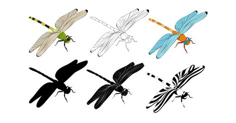 Reading Dragonfly Clipart