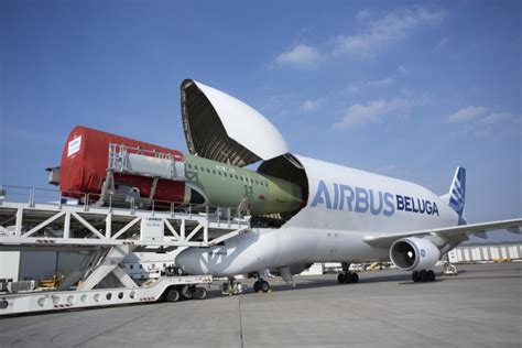 Airbus uses beluga aircraft for transporting large assembled sections of the fuselage and wings of beluga has regularly transported the fuselage of an a340, the wings of the airbus a340 or two. Airbus Beluga Landing