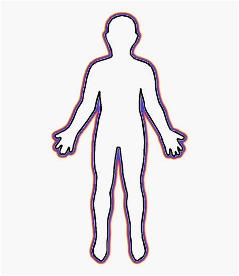 Back Body Clipart Png Human Body Cartoon Outline Transparent Png