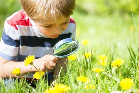 Child Exploring Nature Stock Photo Image Of Discovery 56104796