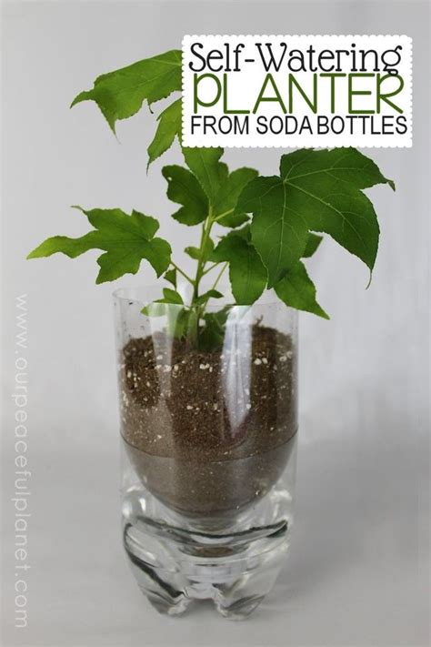 Amazing Using Water Bottles As Planters Small Faux Plants