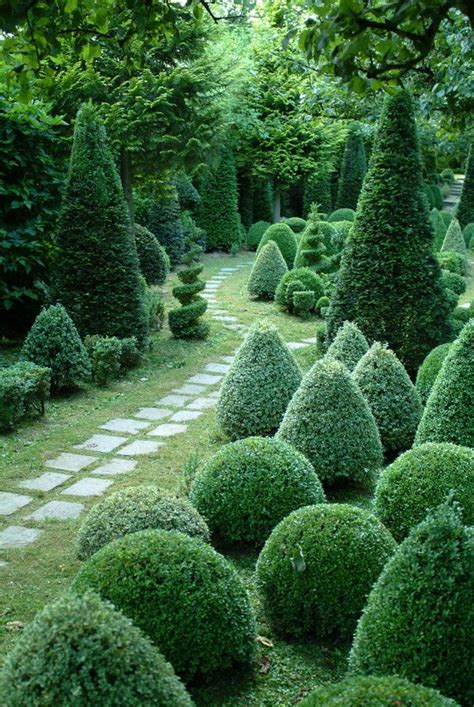 What Shape Will You Choose For Your Topiary Bush Good To Be Home